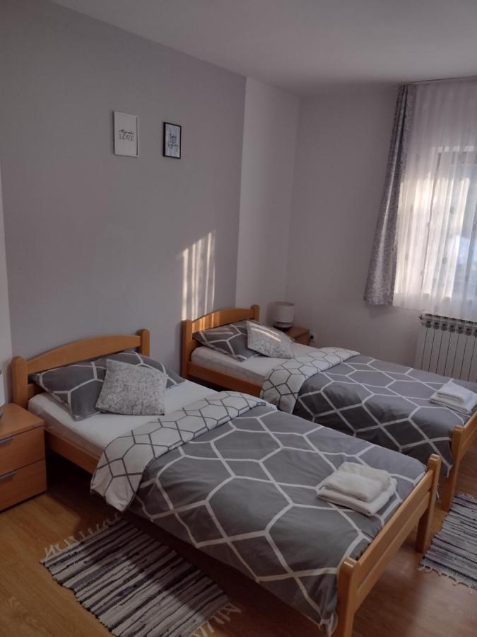 Apartment Petra I Nikola Seliste Dreznicko Exteriér fotografie