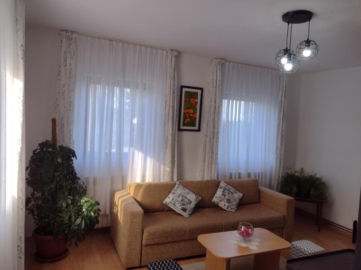 Apartment Petra I Nikola Seliste Dreznicko Exteriér fotografie