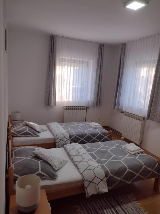 Apartment Petra I Nikola Seliste Dreznicko Exteriér fotografie