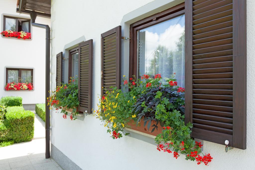Apartment Petra I Nikola Seliste Dreznicko Exteriér fotografie