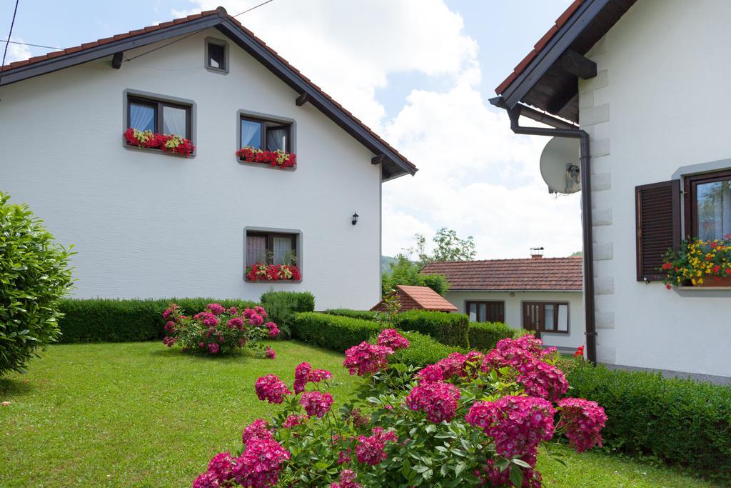 Apartment Petra I Nikola Seliste Dreznicko Exteriér fotografie